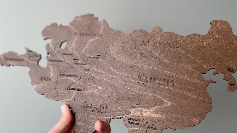 Деревянная карта Мира на стену с названиями Стран, Темно-Коричневая, XXL (300*175 cm)