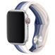 Силиконовый ремешок Rainbow для Apple watch 42 | 44 | 45 mm, Синий / Серый