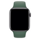 Ремінець силіконовий для Apple Watch 38/40/41 AAA+, Зелений