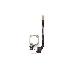 Flat Cable with button Home iPhone 5S/SE White (Compleate)