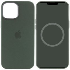 Чехол Silicone case (AAA) full with Magsafe and Animation для Apple iPhone 12 Pro Max (6.7"), Зеленый / Cyprus Green